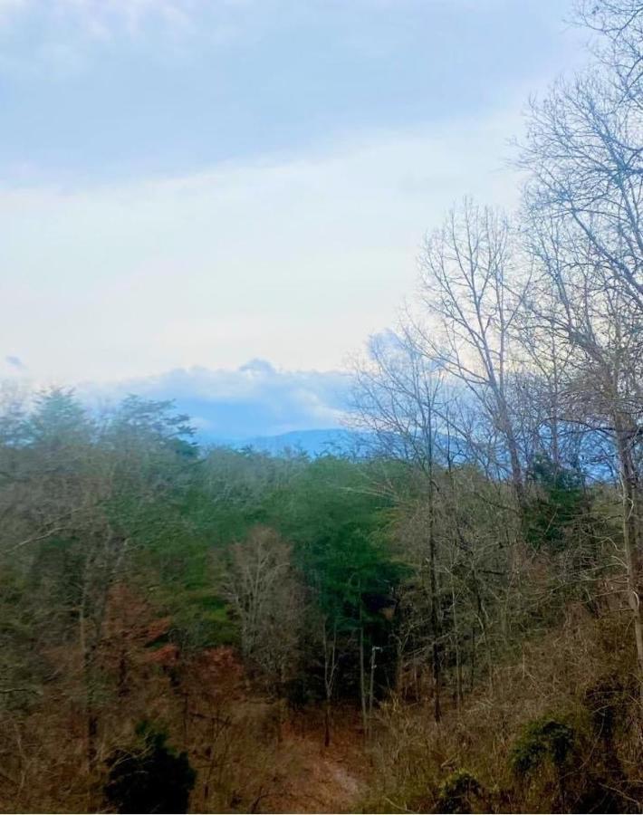 Sweet Seclusion, Hot Tub, Air Hockey, Wifi, 1089 Free Tickets Each Paid Day, Dollywood And More Sevierville Exterior photo
