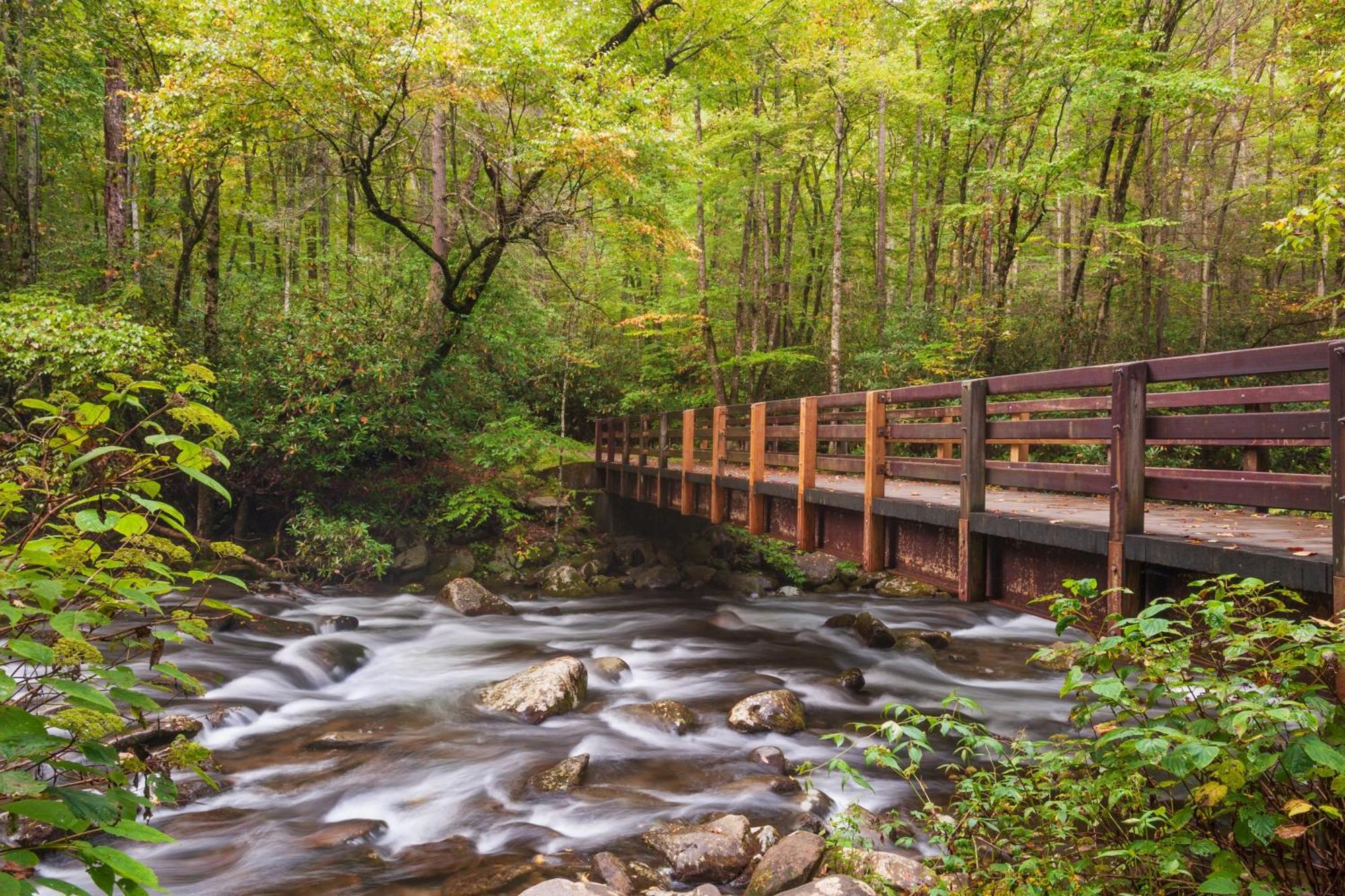 Sweet Seclusion, Hot Tub, Air Hockey, Wifi, 1089 Free Tickets Each Paid Day, Dollywood And More Sevierville Exterior photo